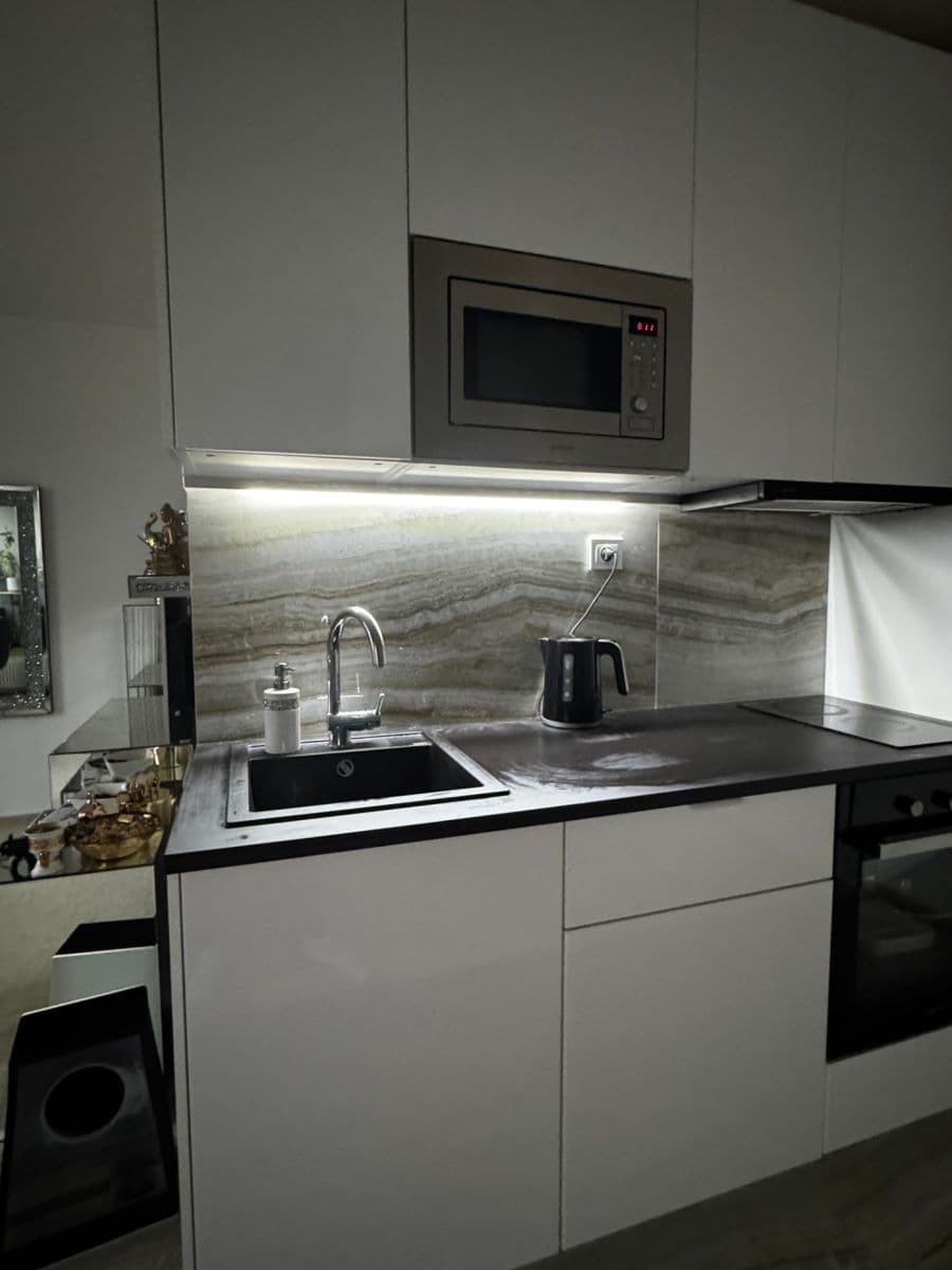 Studio flat to rent, 46 m², Poděbradská, Prague, Prague Studio flat to rent, 46 m², Poděbradská, Prague, Prague