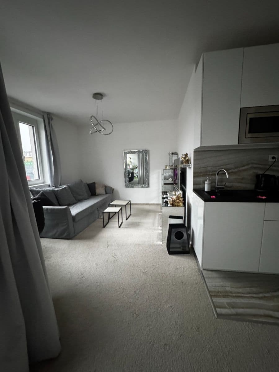 Studio flat to rent, 46 m², Poděbradská, Prague, Prague Studio flat to rent, 46 m², Poděbradská, Prague, Prague