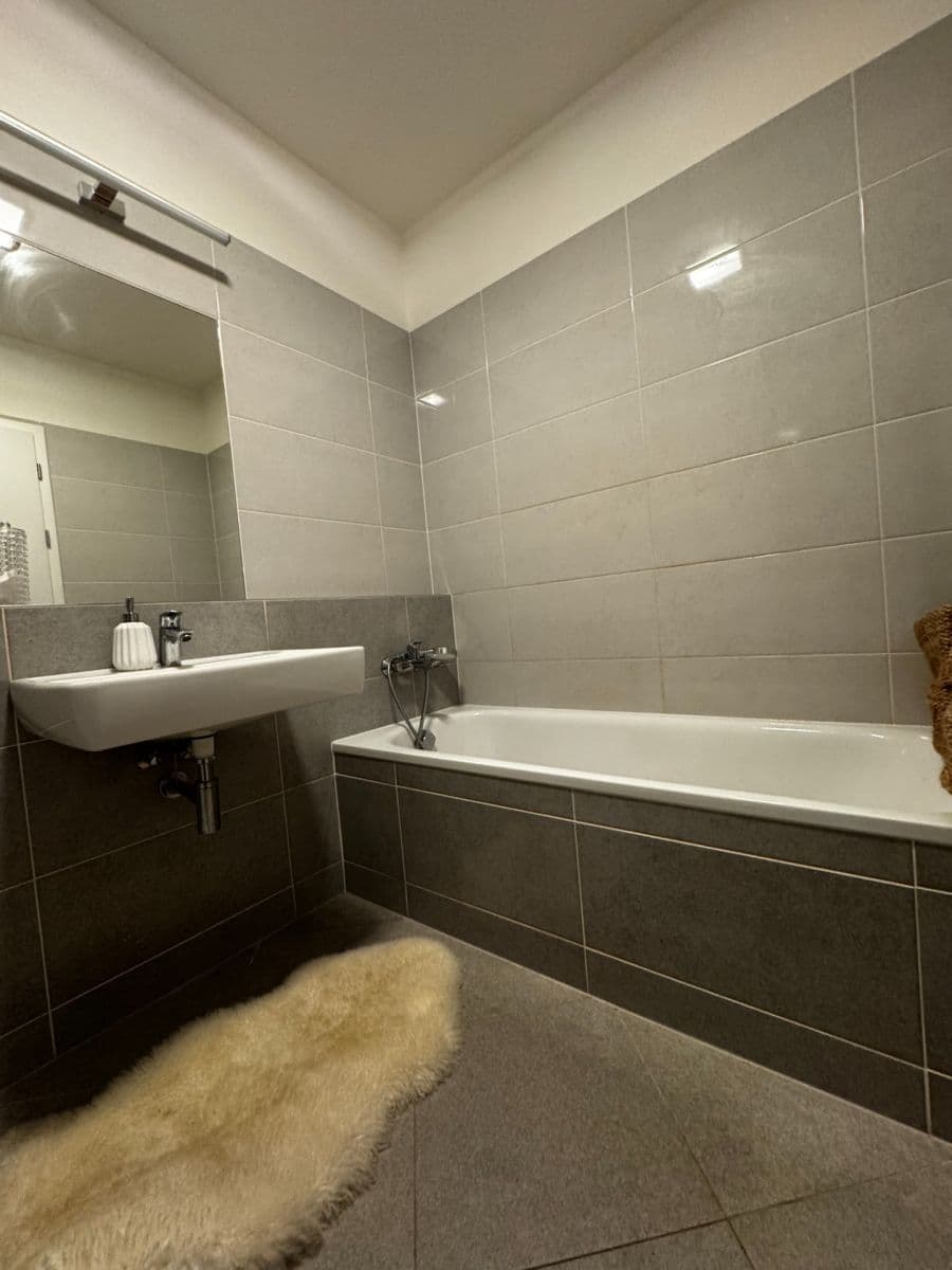 Studio flat to rent, 46 m², Poděbradská, Prague, Prague Studio flat to rent, 46 m², Poděbradská, Prague, Prague