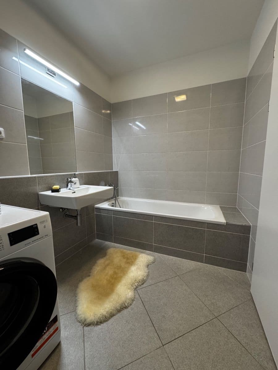 Studio flat to rent, 46 m², Poděbradská, Prague, Prague Studio flat to rent, 46 m², Poděbradská, Prague, Prague