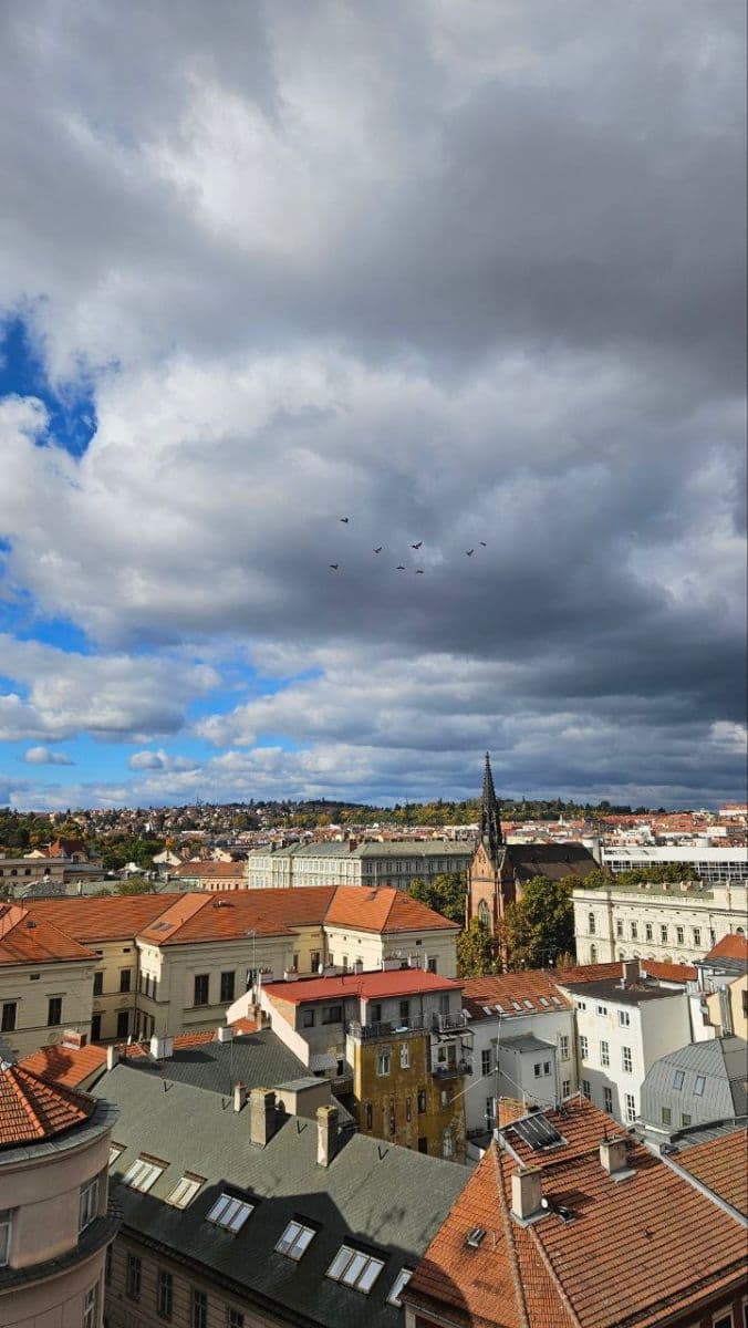 non-residential property to rent, 150 m², Česká, Brno, Jihomoravský Region non-residential property to rent, 150 m², Česká, Brno, Jihomoravský Region