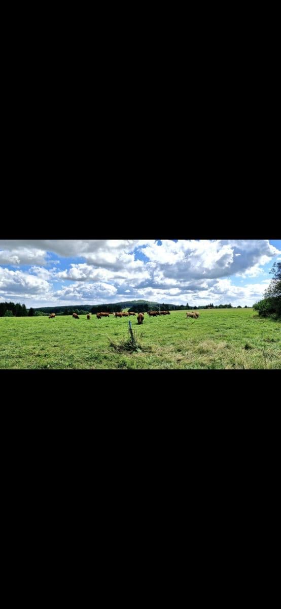 plot for sale, 571 m², Zádub-Závišín, Karlovarský Region plot for sale, 571 m², Zádub-Závišín, Karlovarský Region