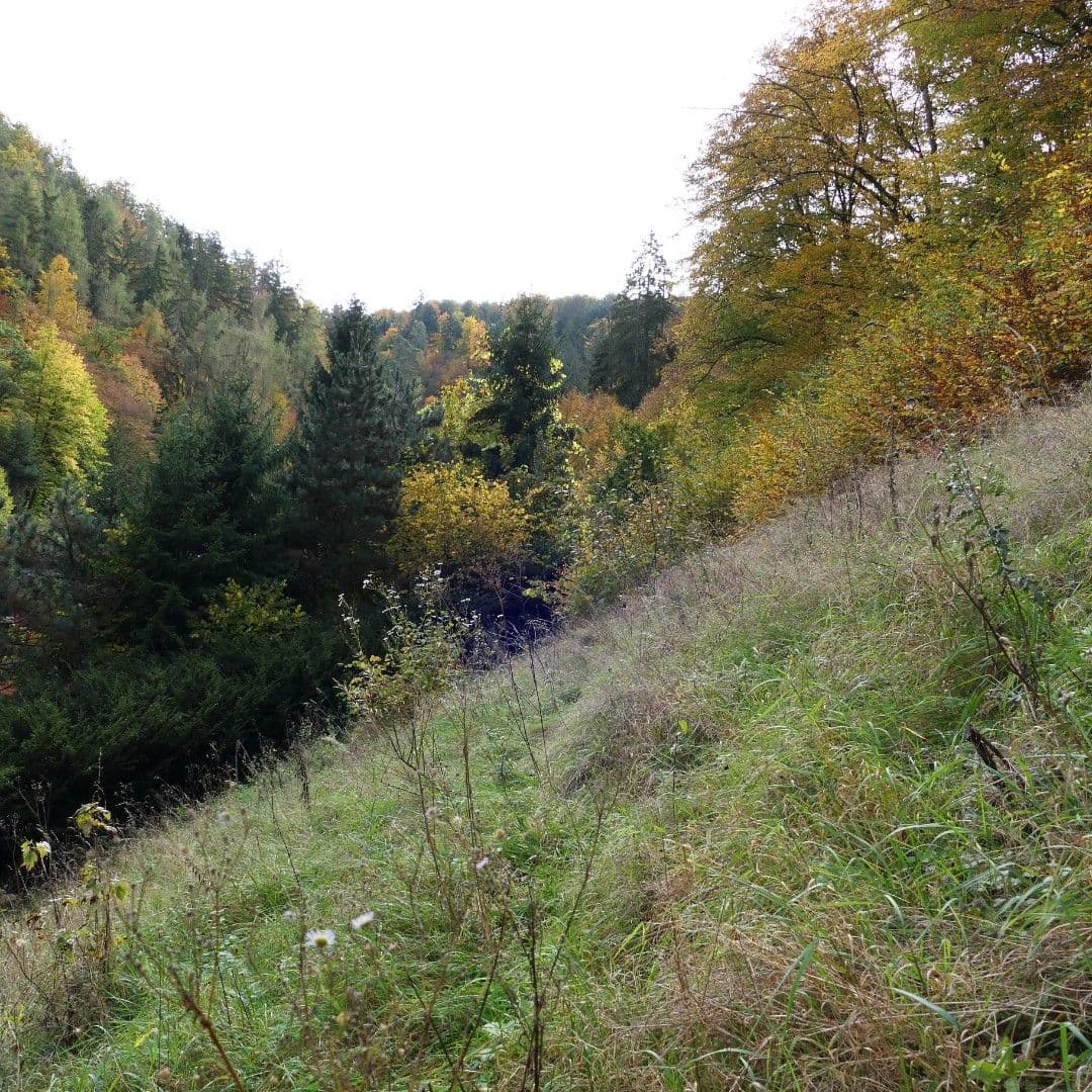 house for sale, 55 m², Zadní konce, Štěchovice, Středočeský Region house for sale, 55 m², Zadní konce, Štěchovice, Středočeský Region