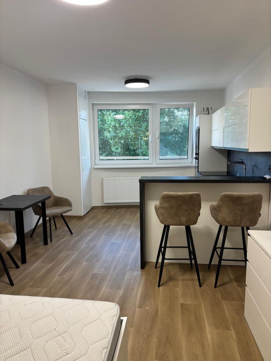 Studio flat to rent, 36 m², nábřeží Závodu míru, Pardubice, Pardubický Region Studio flat to rent, 36 m², nábřeží Závodu míru, Pardubice, Pardubický Region