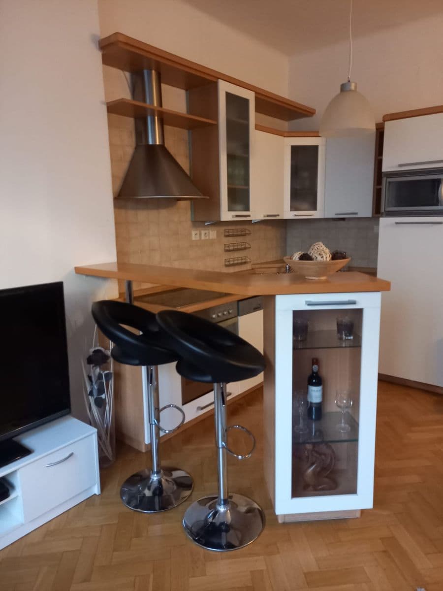 1 bedroom with open-plan kitchen flat for sale, 43 m², Nad Jezerkou, Prague, Prague 1 bedroom with open-plan kitchen flat for sale, 43 m², Nad Jezerkou, Prague, Prague