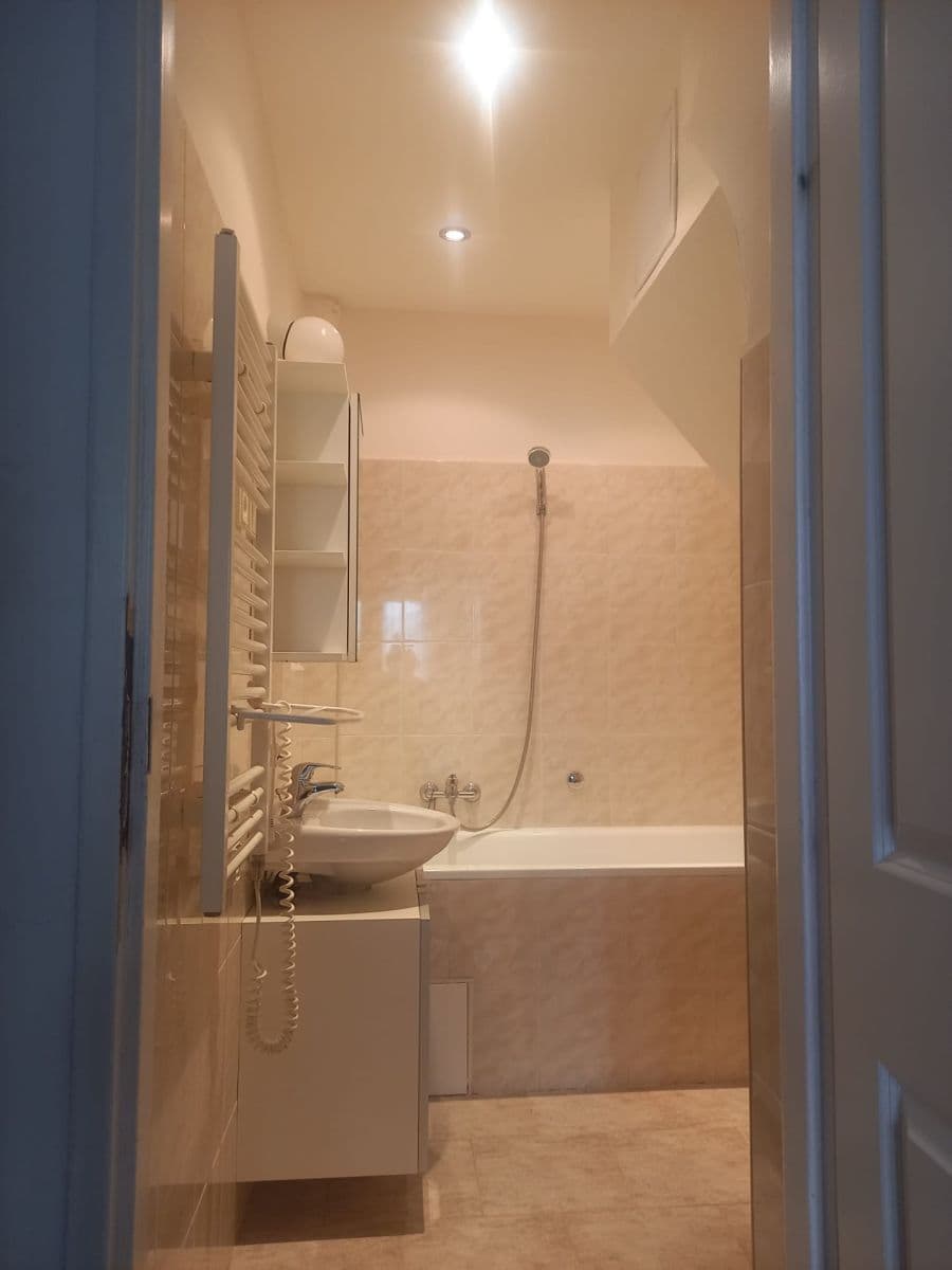 1 bedroom with open-plan kitchen flat for sale, 43 m², Nad Jezerkou, Prague, Prague 1 bedroom with open-plan kitchen flat for sale, 43 m², Nad Jezerkou, Prague, Prague