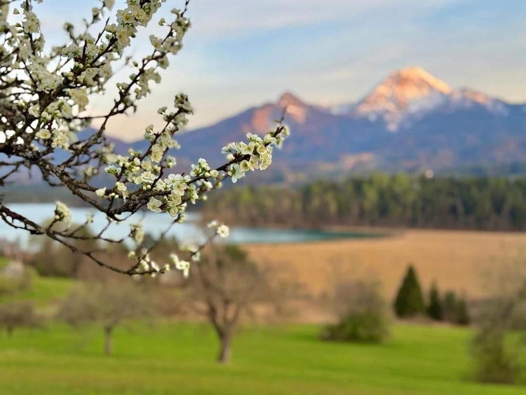 1 bedroom flat for sale, 22 m², Faak am See, Carinthia 1 bedroom flat for sale, 22 m², Faak am See, Carinthia