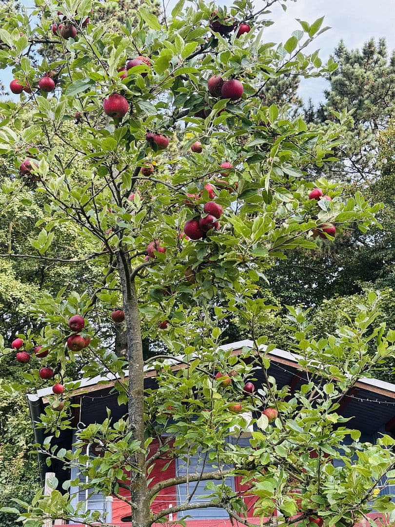 plot for sale, 701 m², Lohrberg, Seckbach, Frankfurt am Main, Hesse plot for sale, 701 m², Lohrberg, Seckbach, Frankfurt am Main, Hesse