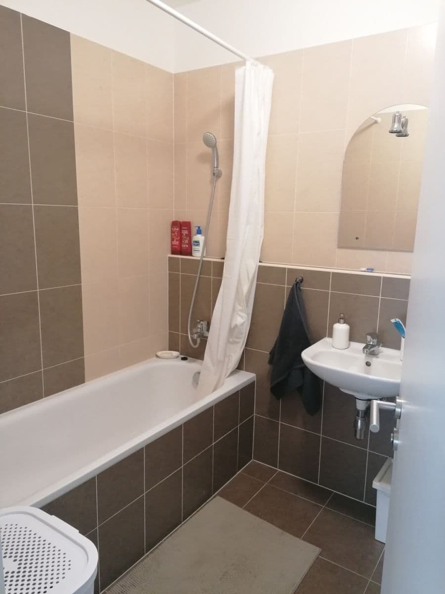 1 bedroom with open-plan kitchen flat to rent, 53 m², Olgy Havlové, Prague, Prague 1 bedroom with open-plan kitchen flat to rent, 53 m², Olgy Havlové, Prague, Prague