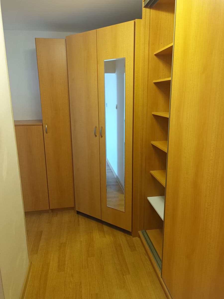 1 bedroom with open-plan kitchen flat to rent, 44 m², Mazancova, Prague, Prague 1 bedroom with open-plan kitchen flat to rent, 44 m², Mazancova, Prague, Prague