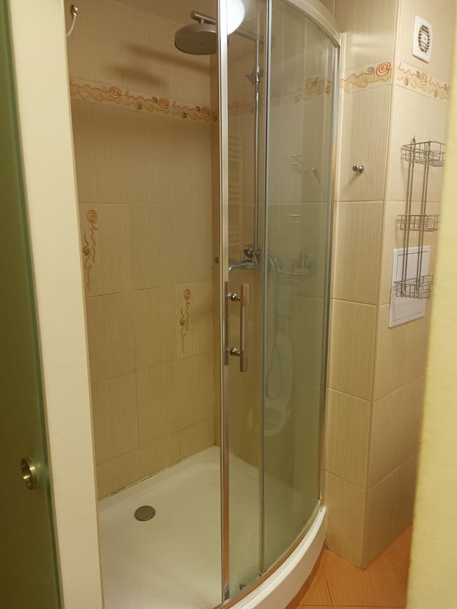 1 bedroom with open-plan kitchen flat to rent, 44 m², Mazancova, Prague, Prague 1 bedroom with open-plan kitchen flat to rent, 44 m², Mazancova, Prague, Prague