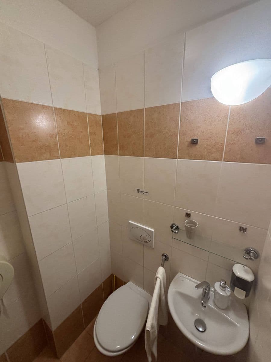 flat to rent, 300 m², Lublaňská, Prague, Prague flat to rent, 300 m², Lublaňská, Prague, Prague