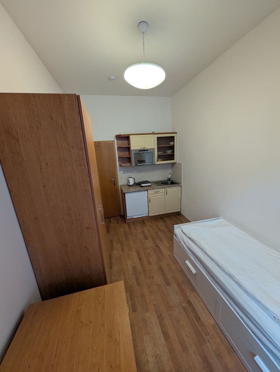 flat to rent, 300 m², Lublaňská, Prague, Prague flat to rent, 300 m², Lublaňská, Prague, Prague