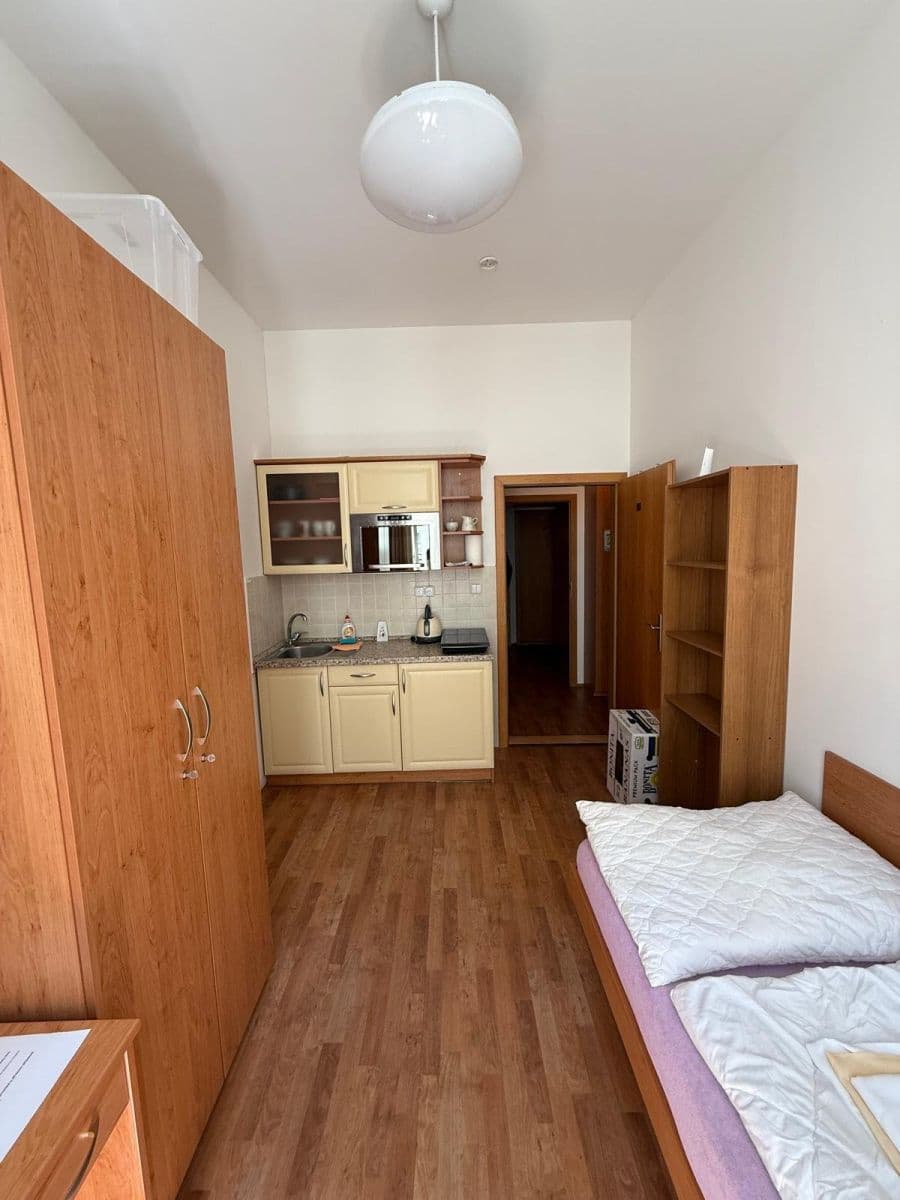 flat to rent, 300 m², Lublaňská, Prague, Prague flat to rent, 300 m², Lublaňská, Prague, Prague