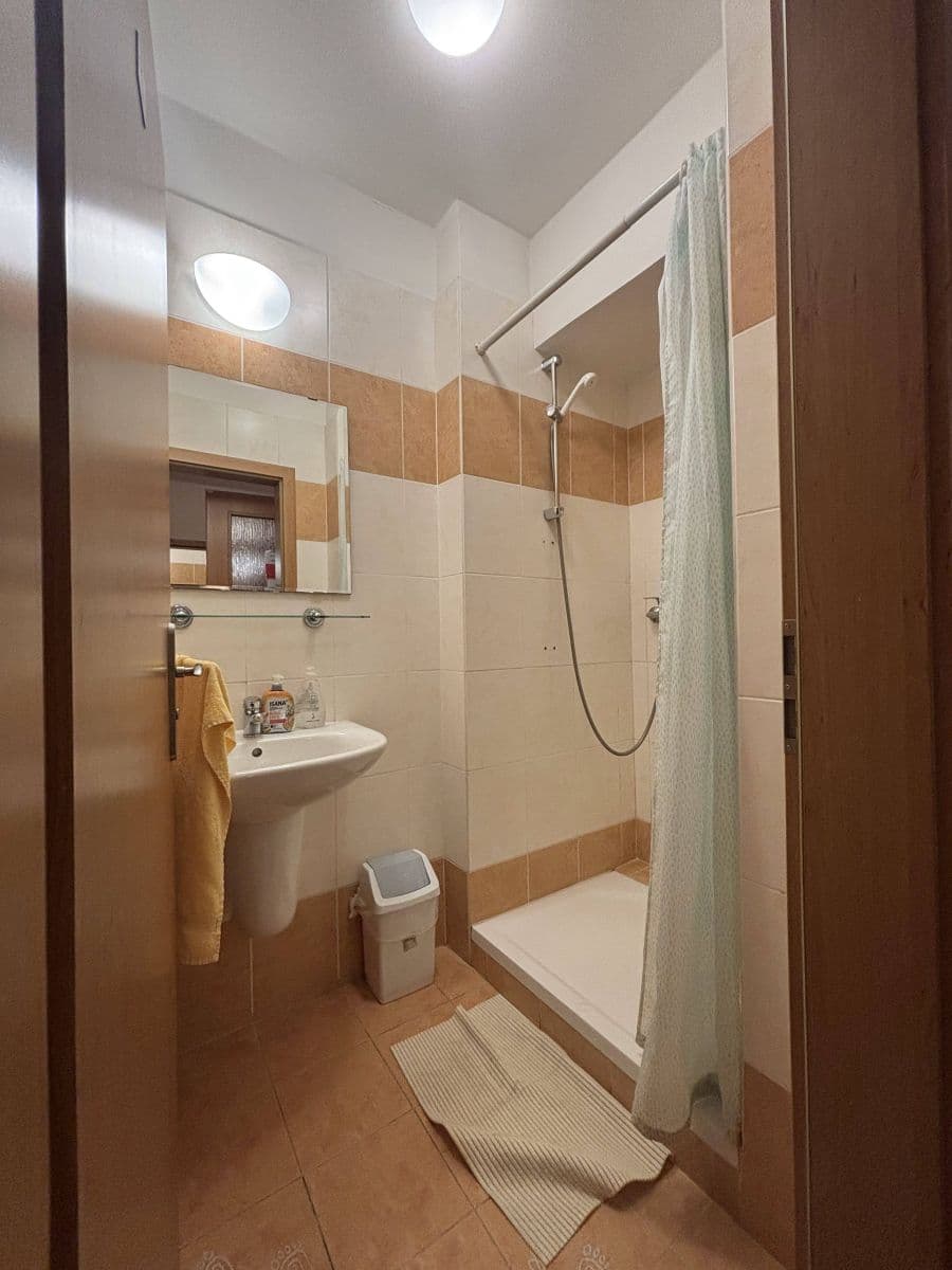 flat to rent, 300 m², Lublaňská, Prague, Prague flat to rent, 300 m², Lublaňská, Prague, Prague