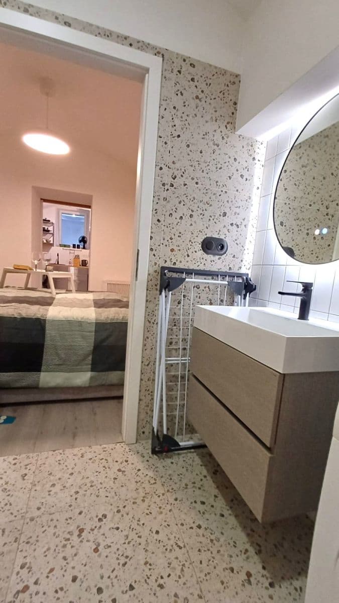 1 bedroom with open-plan kitchen flat for sale, 39 m², Bořivojova, Prague, Prague 1 bedroom with open-plan kitchen flat for sale, 39 m², Bořivojova, Prague, Prague