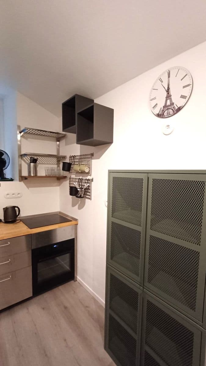 1 bedroom with open-plan kitchen flat for sale, 39 m², Bořivojova, Prague, Prague 1 bedroom with open-plan kitchen flat for sale, 39 m², Bořivojova, Prague, Prague