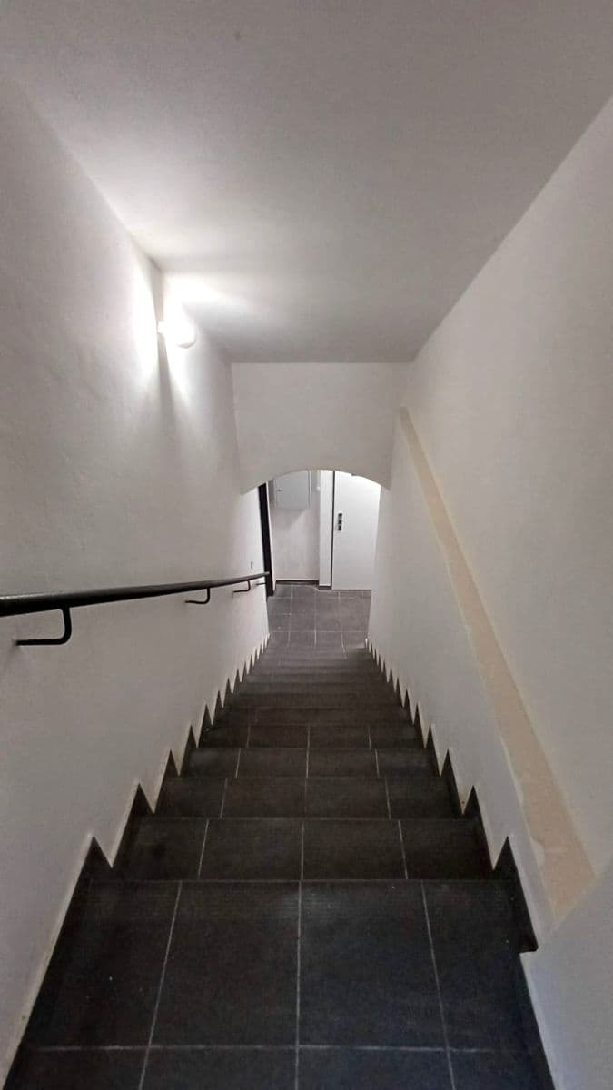 1 bedroom with open-plan kitchen flat for sale, 39 m², Bořivojova, Prague, Prague 1 bedroom with open-plan kitchen flat for sale, 39 m², Bořivojova, Prague, Prague