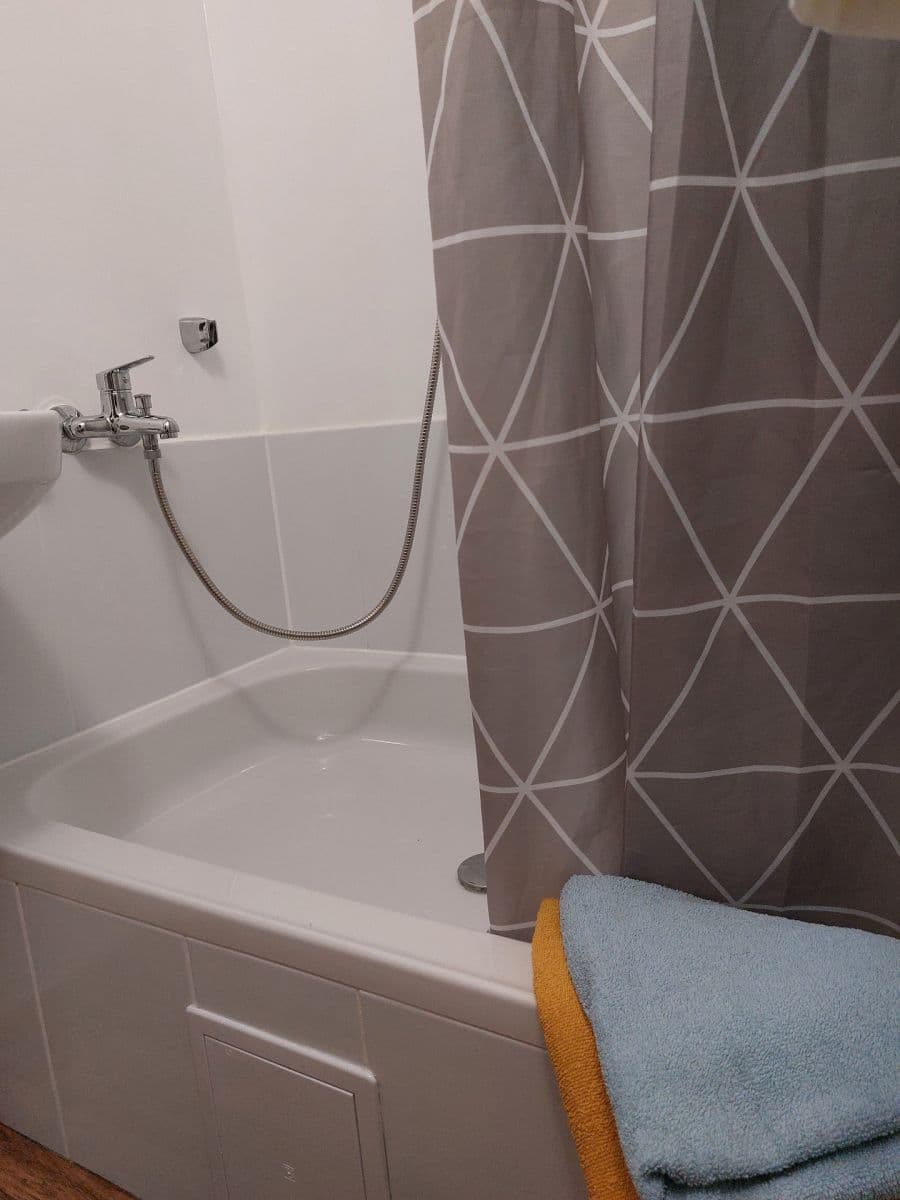 1 bedroom with open-plan kitchen flat to rent, 43 m², Švehlova, Prague, Prague 1 bedroom with open-plan kitchen flat to rent, 43 m², Švehlova, Prague, Prague