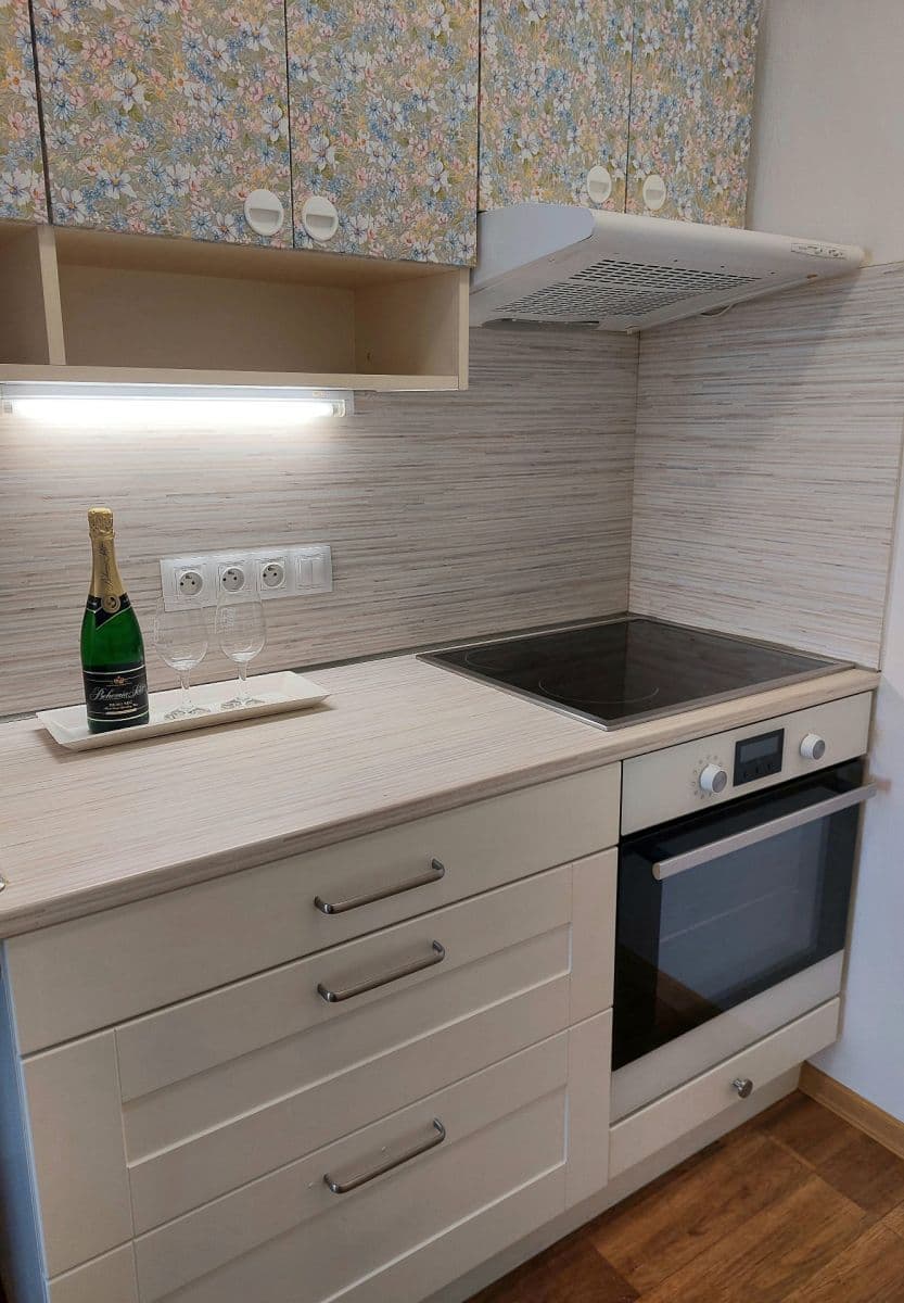 1 bedroom with open-plan kitchen flat to rent, 43 m², Švehlova, Prague, Prague 1 bedroom with open-plan kitchen flat to rent, 43 m², Švehlova, Prague, Prague