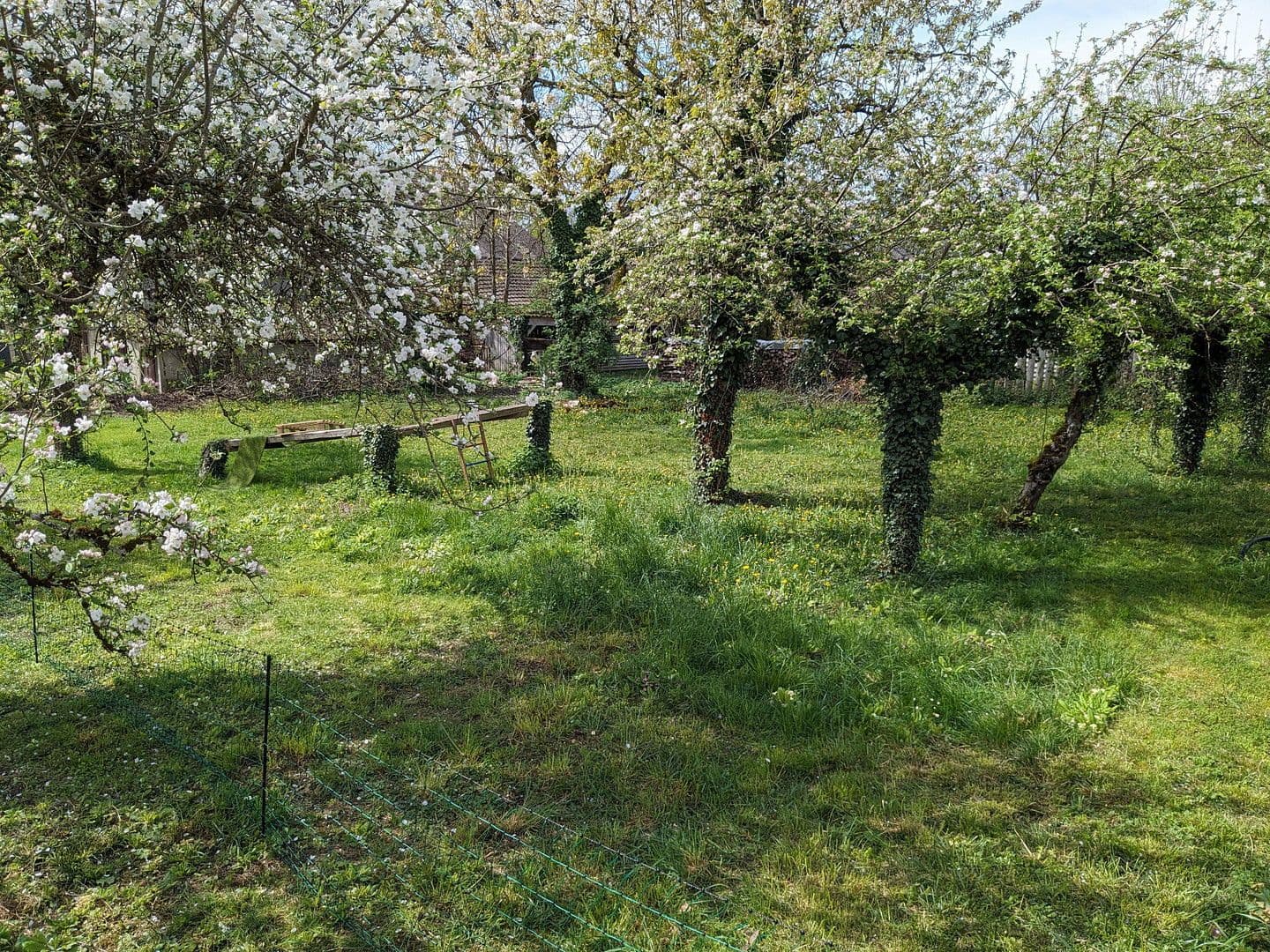 plot for sale, 1,026 m², Gailingen am Hochrhein, Baden-Württemberg plot for sale, 1,026 m², Gailingen am Hochrhein, Baden-Württemberg