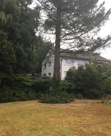 house for sale, 316 m², Kaiserslautern, Rhineland-Palatinate house for sale, 316 m², Kaiserslautern, Rhineland-Palatinate