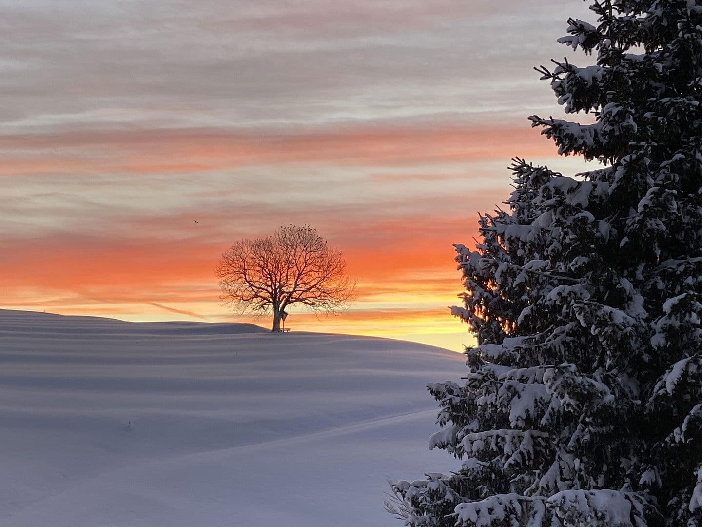 4 bedroom flat for sale, 106 m², Mühlhalde 1, Missen-Wilhams, Bavaria 4 bedroom flat for sale, 106 m², Mühlhalde 1, Missen-Wilhams, Bavaria