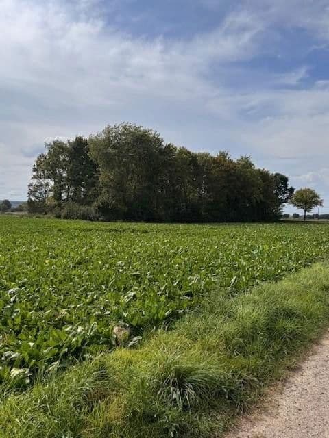 plot for sale, 5,696 m², Hauptstr.103, Beckedorf, Lower Saxony plot for sale, 5,696 m², Hauptstr.103, Beckedorf, Lower Saxony