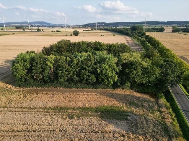 plot for sale, 5,696 m², Hauptstr.103, Beckedorf, Lower Saxony plot for sale, 5,696 m², Hauptstr.103, Beckedorf, Lower Saxony