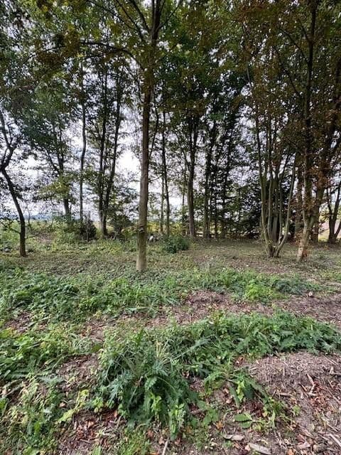 plot for sale, 5,696 m², Hauptstr.103, Beckedorf, Lower Saxony plot for sale, 5,696 m², Hauptstr.103, Beckedorf, Lower Saxony