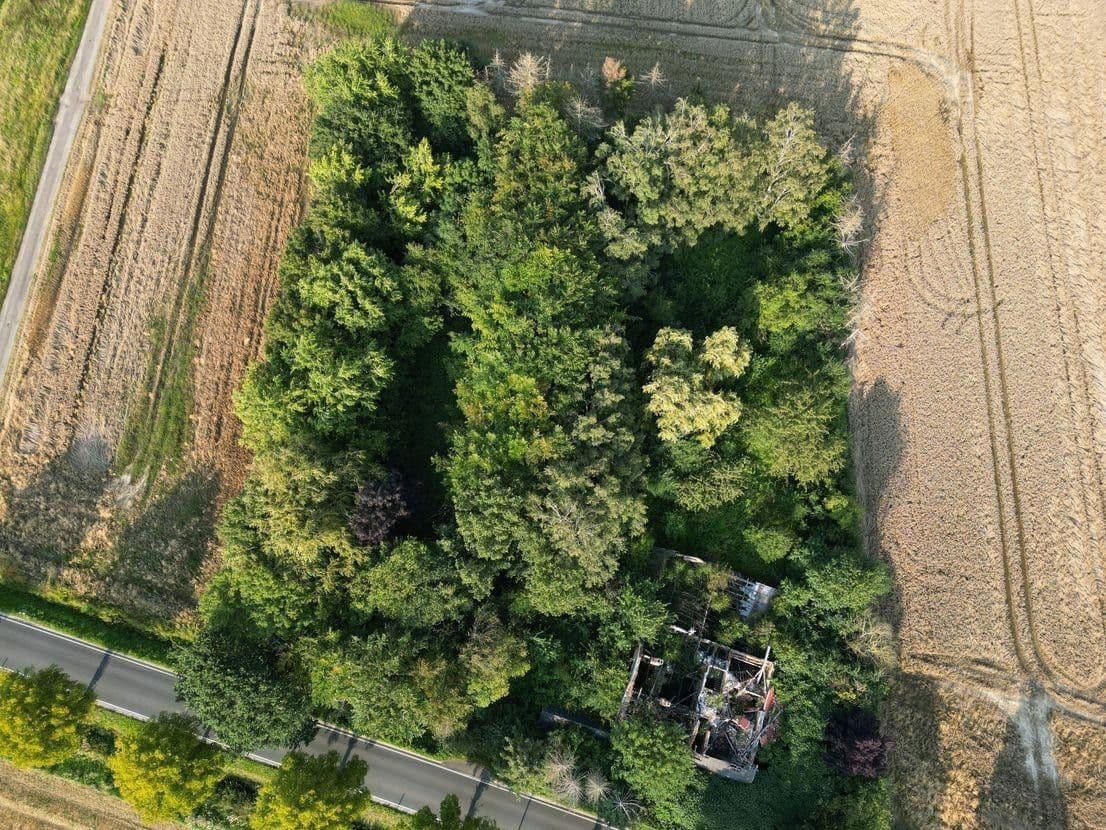 plot for sale, 5,696 m², Hauptstr.103, Beckedorf, Lower Saxony plot for sale, 5,696 m², Hauptstr.103, Beckedorf, Lower Saxony