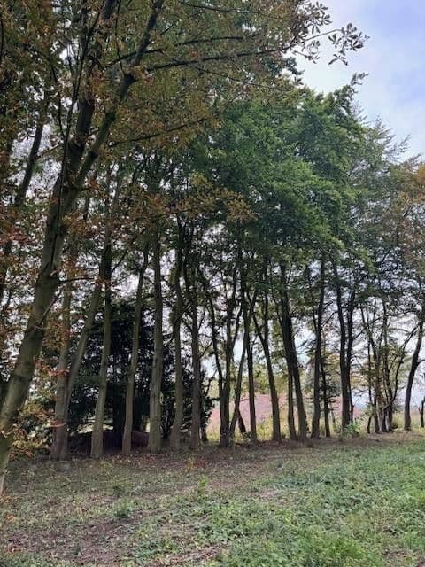 plot for sale, 5,696 m², Hauptstr.103, Beckedorf, Lower Saxony plot for sale, 5,696 m², Hauptstr.103, Beckedorf, Lower Saxony