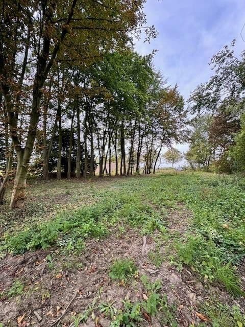 plot for sale, 5,696 m², Hauptstr.103, Beckedorf, Lower Saxony plot for sale, 5,696 m², Hauptstr.103, Beckedorf, Lower Saxony