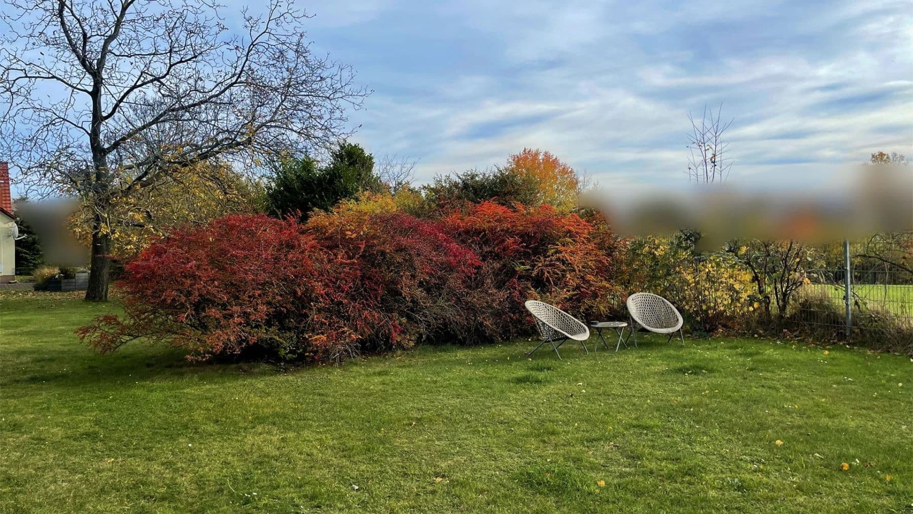 house for sale, 329 m², Holländerweg 46, Döbeln, Saxony house for sale, 329 m², Holländerweg 46, Döbeln, Saxony