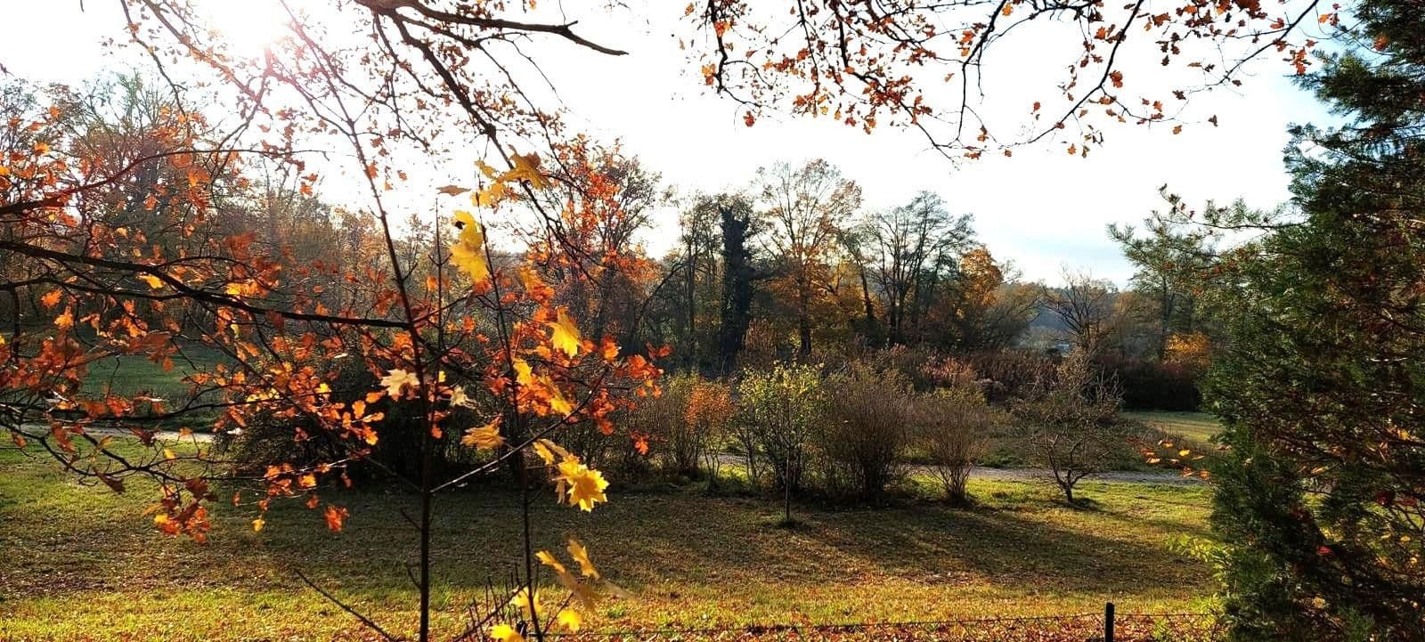 plot for sale, 296 m², Nürnberg, Bavaria plot for sale, 296 m², Nürnberg, Bavaria