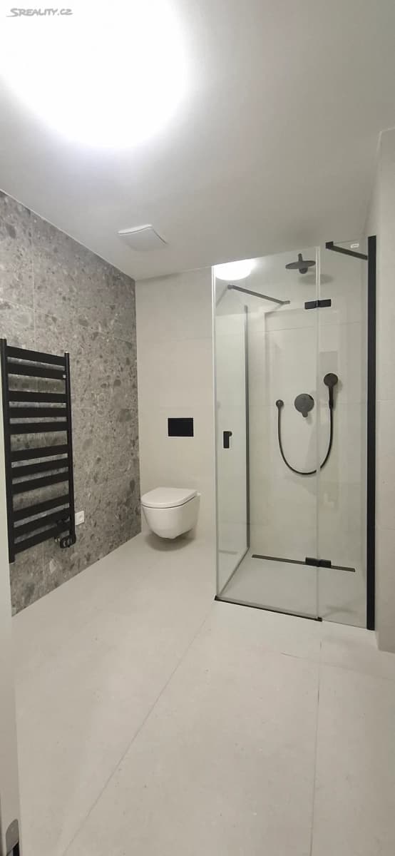 1 bedroom with open-plan kitchen flat to rent, 40 m², Starokošířská, Prague, Prague 1 bedroom with open-plan kitchen flat to rent, 40 m², Starokošířská, Prague, Prague