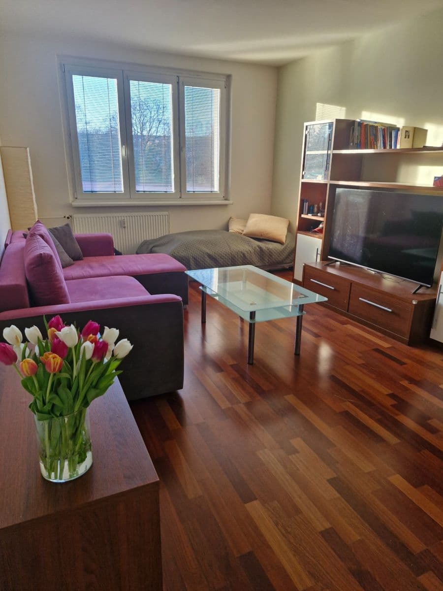 2 bedroom flat to rent, 60 m², Pavlovská, Prague, Prague 2 bedroom flat to rent, 60 m², Pavlovská, Prague, Prague