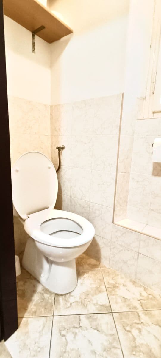 1 bedroom with open-plan kitchen flat to rent, 47 m², Na Žertvách, Prague, Prague 1 bedroom with open-plan kitchen flat to rent, 47 m², Na Žertvách, Prague, Prague