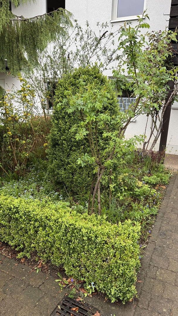 house for sale, 130 m², Aue-Bad Schlema, Saxony house for sale, 130 m², Aue-Bad Schlema, Saxony