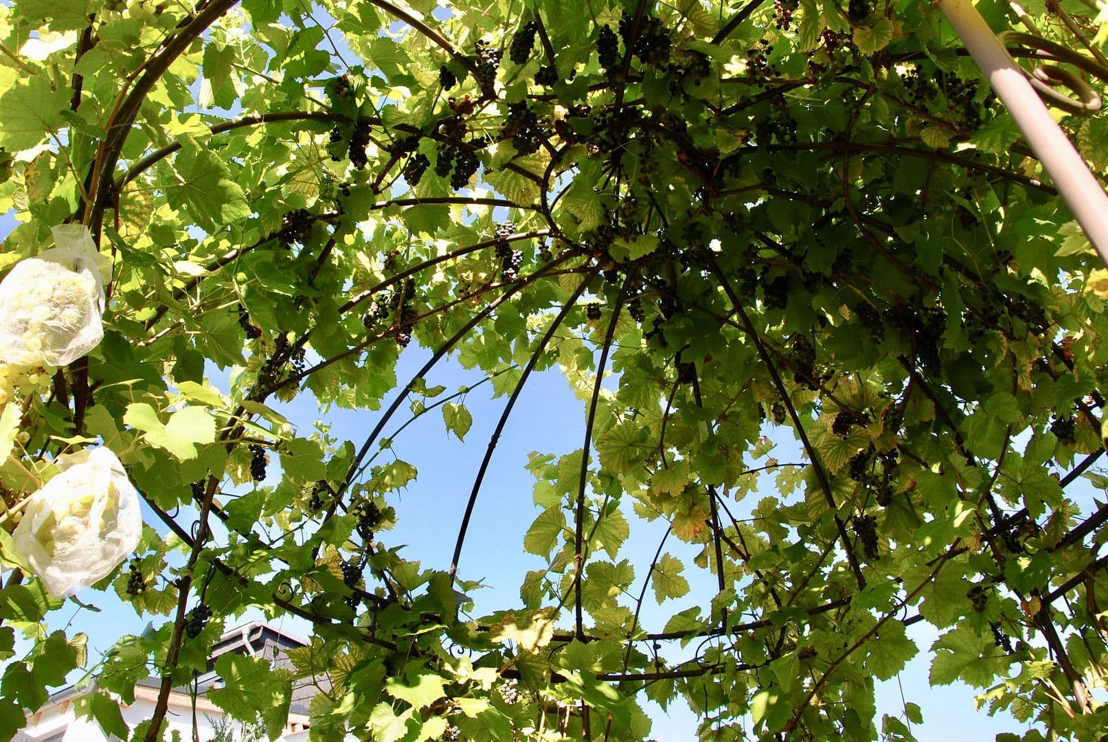 house for sale, 105 m², Dortmund, North Rhine-Westphalia house for sale, 105 m², Dortmund, North Rhine-Westphalia