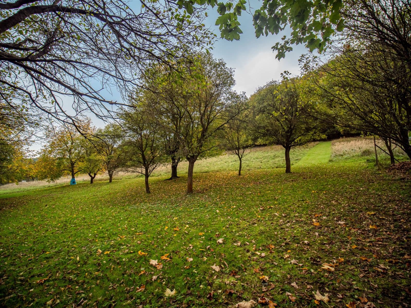 plot for sale, 13,313 m², Trnava, Zlínský Region plot for sale, 13,313 m², Trnava, Zlínský Region