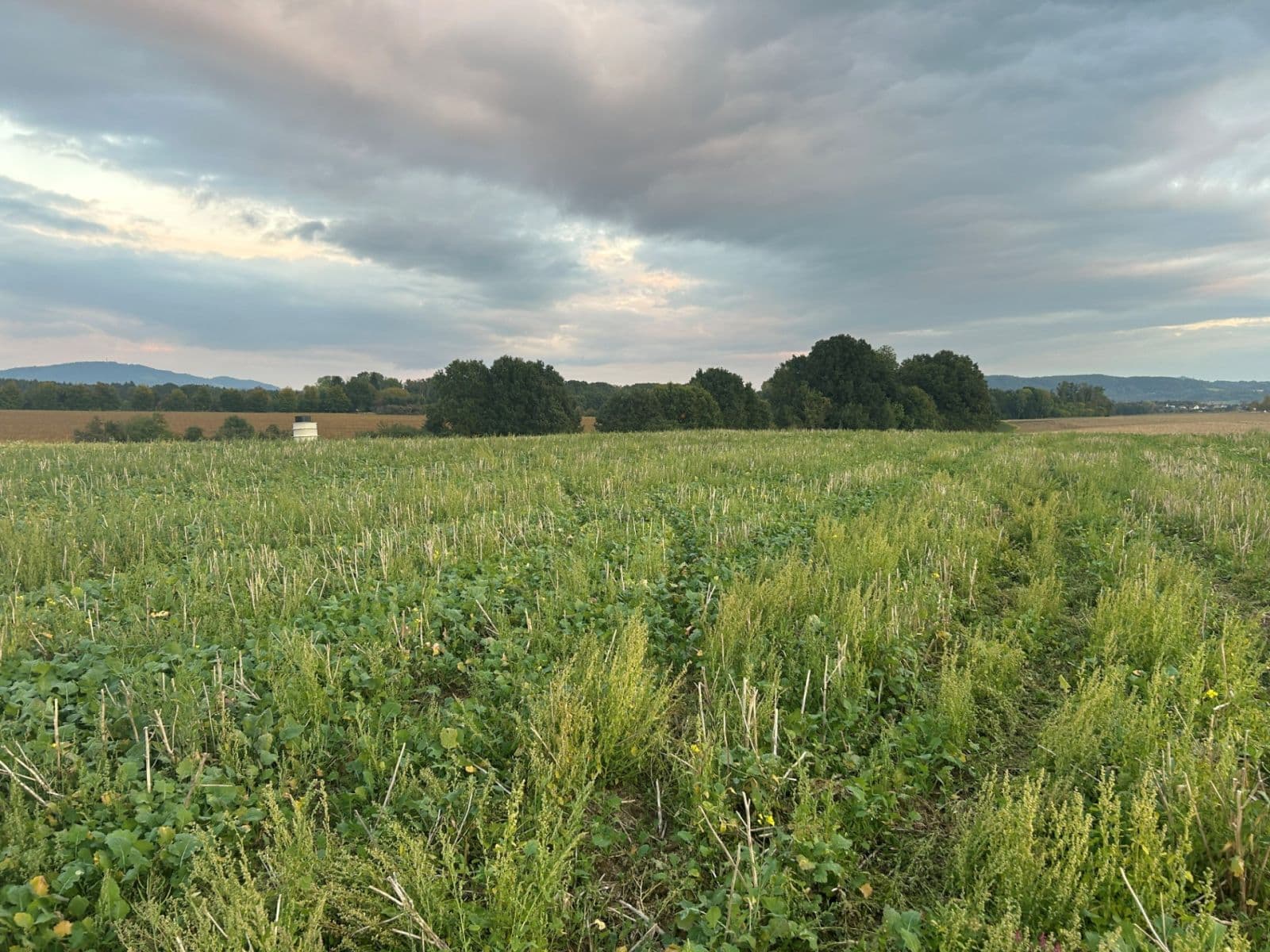 plot for sale, 1,203 m², Paceřice, Liberecký Region plot for sale, 1,203 m², Paceřice, Liberecký Region