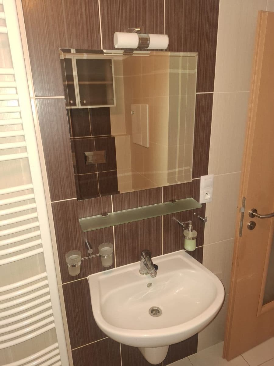 1 bedroom with open-plan kitchen flat to rent, 54 m², Štefánikova, Plzeň, Plzeňský Region 1 bedroom with open-plan kitchen flat to rent, 54 m², Štefánikova, Plzeň, Plzeňský Region