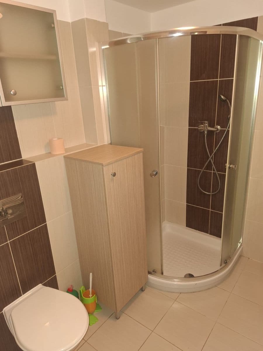 1 bedroom with open-plan kitchen flat to rent, 54 m², Štefánikova, Plzeň, Plzeňský Region 1 bedroom with open-plan kitchen flat to rent, 54 m², Štefánikova, Plzeň, Plzeňský Region