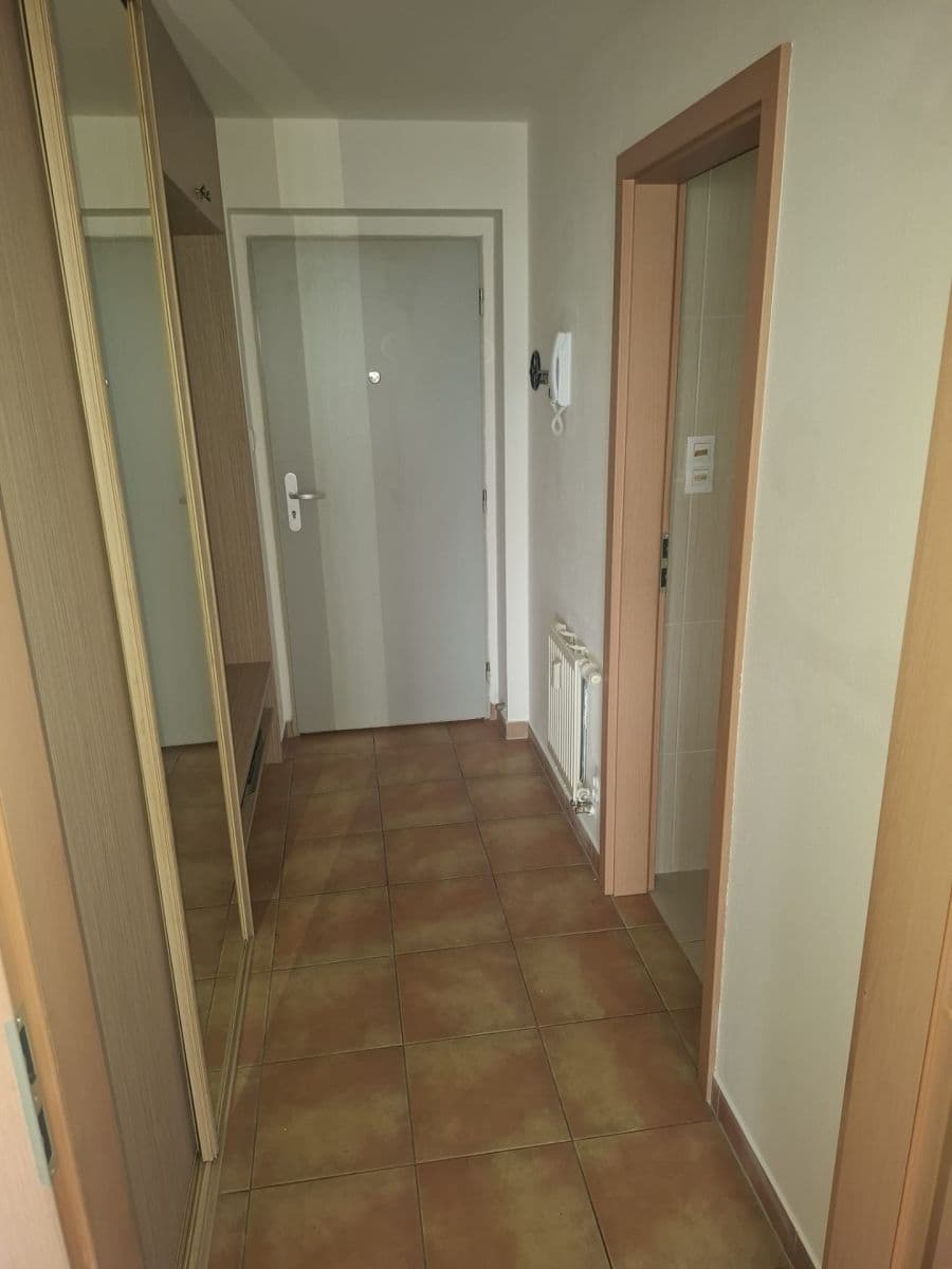 1 bedroom with open-plan kitchen flat to rent, 54 m², Štefánikova, Plzeň, Plzeňský Region 1 bedroom with open-plan kitchen flat to rent, 54 m², Štefánikova, Plzeň, Plzeňský Region