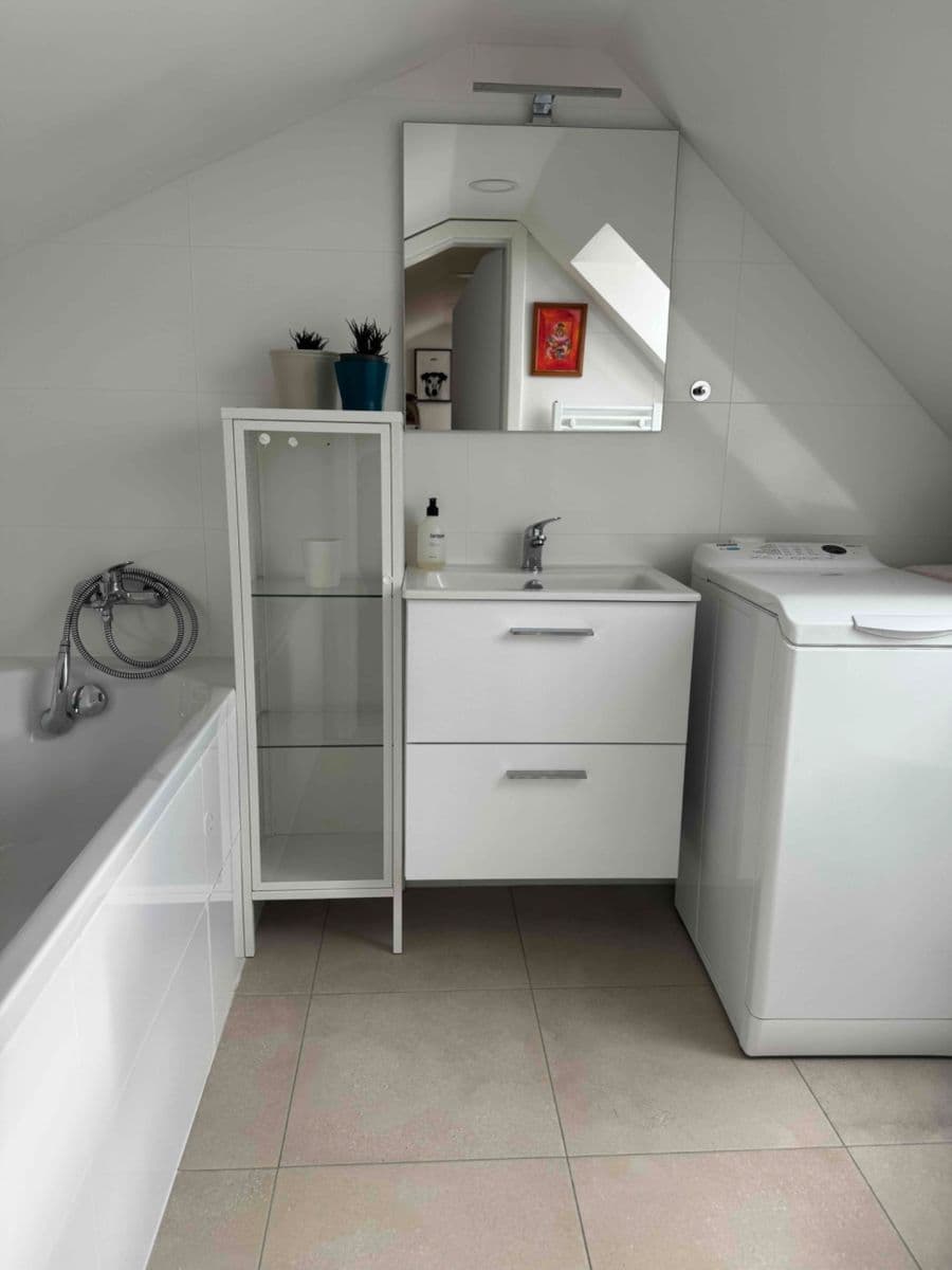 1 bedroom with open-plan kitchen flat to rent, 36 m², Za Lužinami, Prague, Prague 1 bedroom with open-plan kitchen flat to rent, 36 m², Za Lužinami, Prague, Prague