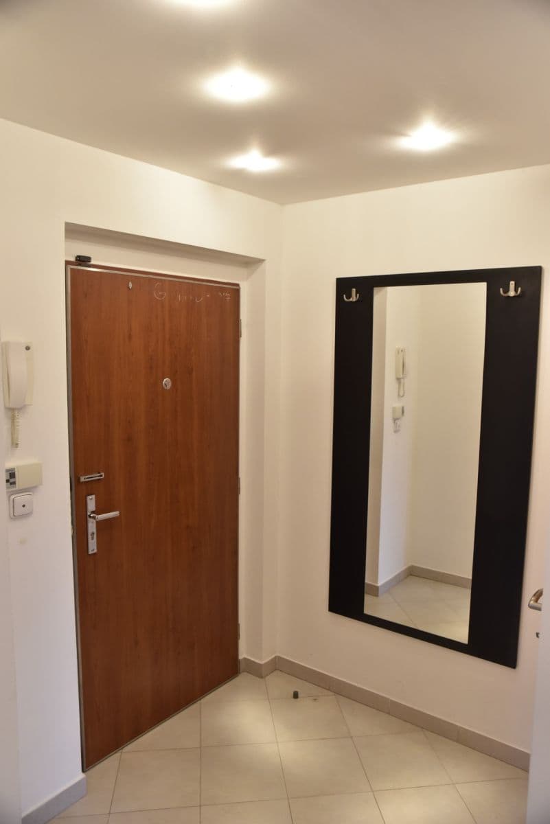 1 bedroom with open-plan kitchen flat to rent, 56 m², Velenovského, Prague, Prague 1 bedroom with open-plan kitchen flat to rent, 56 m², Velenovského, Prague, Prague