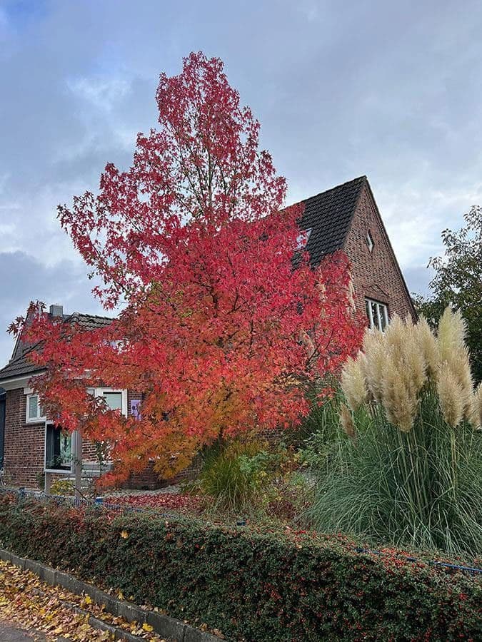 house for sale, 258 m², Hamburg, Hamburg house for sale, 258 m², Hamburg, Hamburg