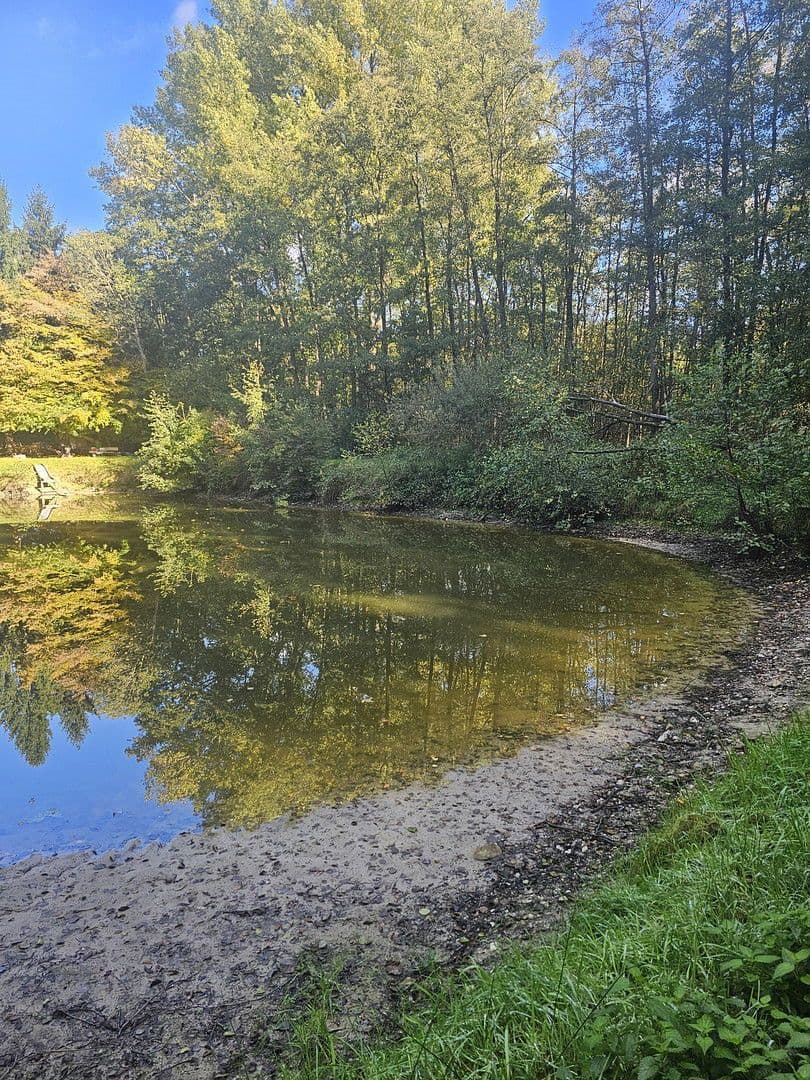 plot for sale, 12,544 m², Kneheim, Lastrup, Lower Saxony plot for sale, 12,544 m², Kneheim, Lastrup, Lower Saxony