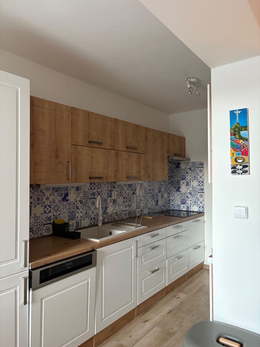 2 bedroom with open-plan kitchen flat to rent, 64 m², Nepomucká, Prague, Prague 2 bedroom with open-plan kitchen flat to rent, 64 m², Nepomucká, Prague, Prague